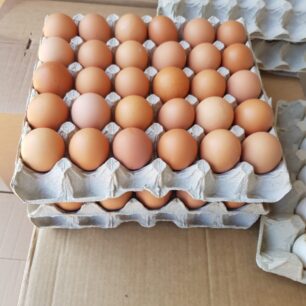 c7bae5c3-792b-4c8c-b2da-188554c2c6b2